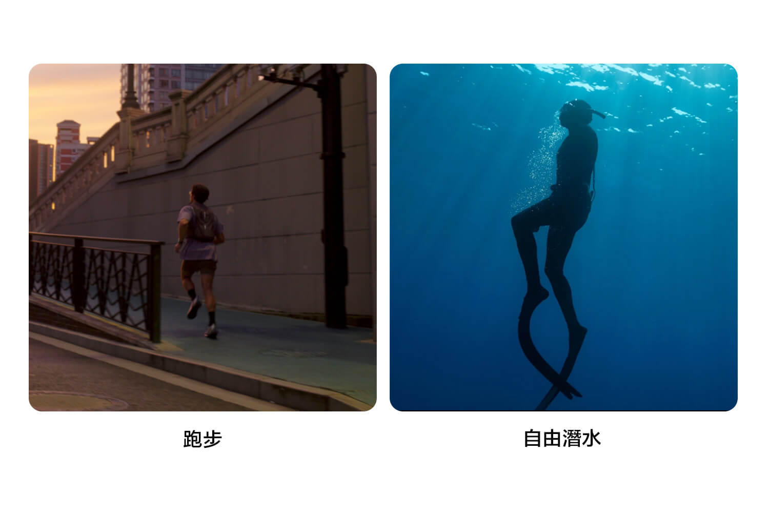 從山巔到海洋